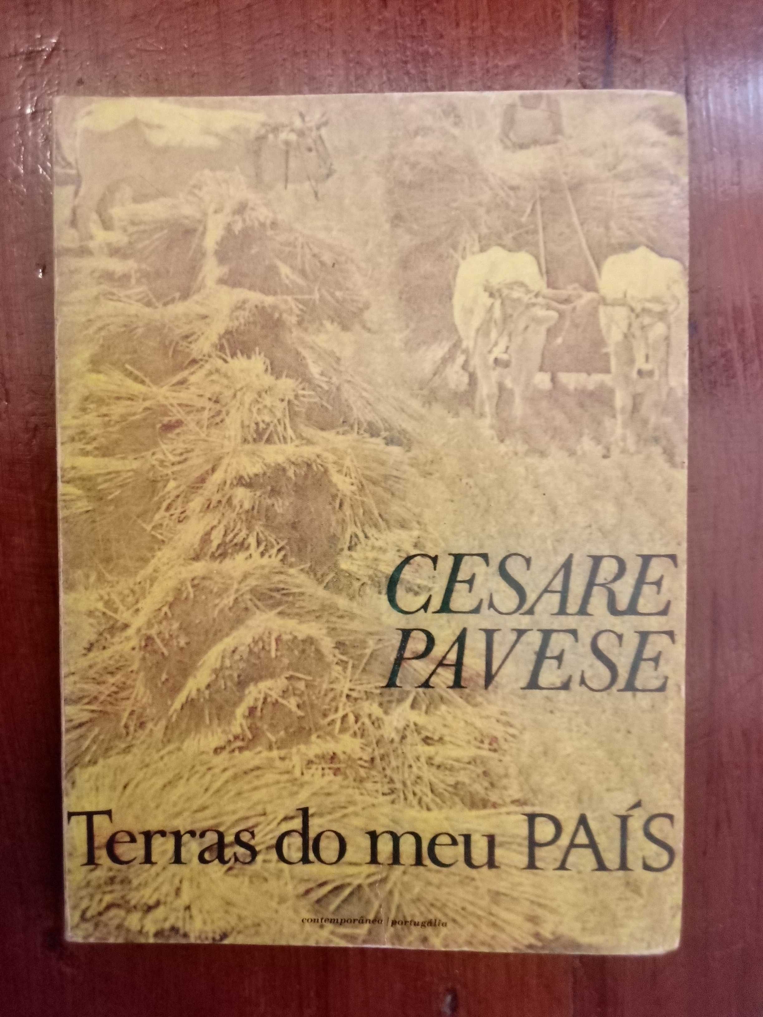 Cesare Pavese - Terras do meu país