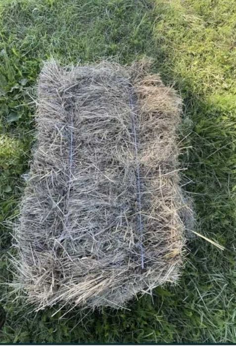 Продам тюки сіно