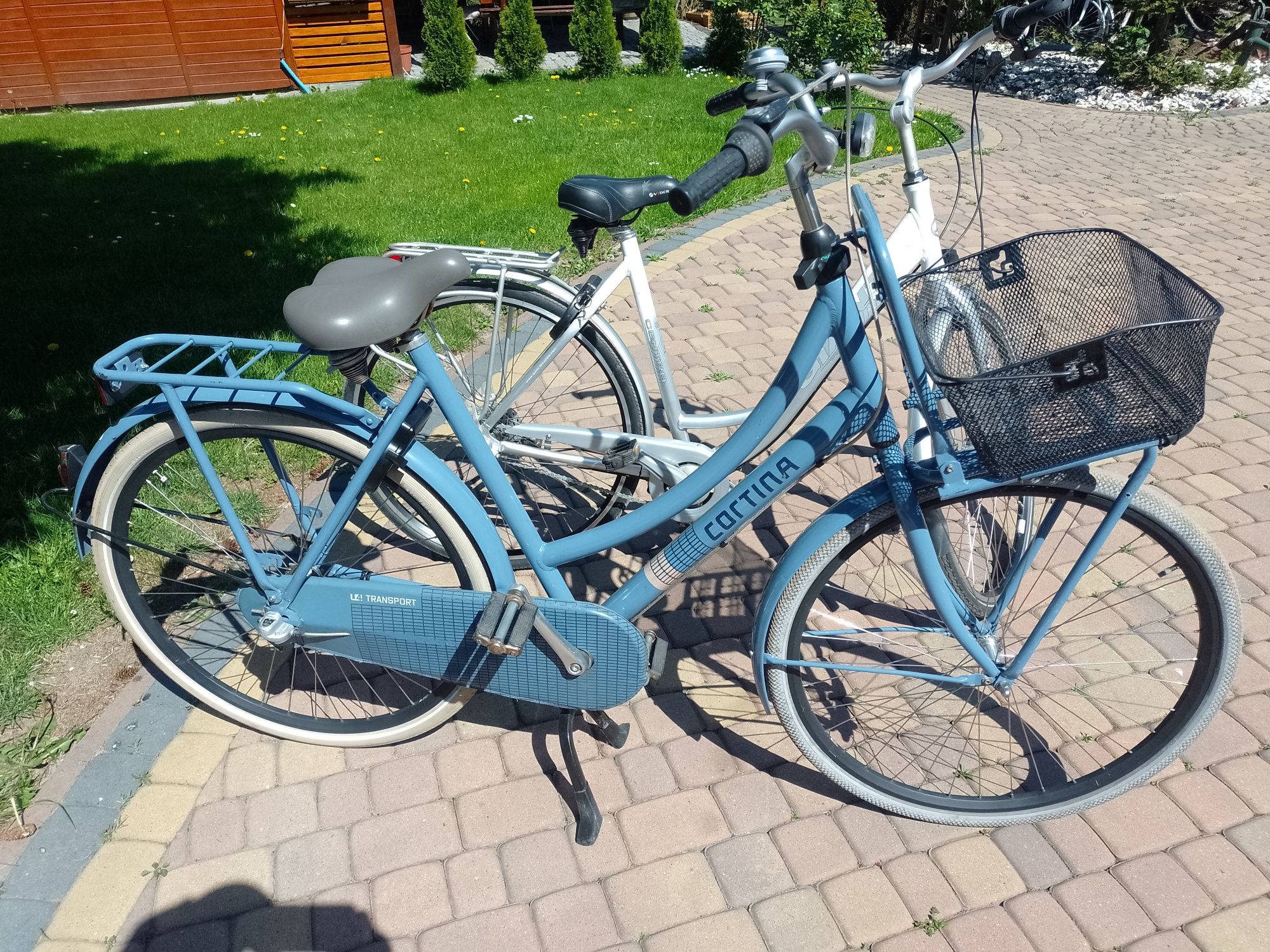 Rower holenderski cortina