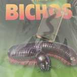 Fascículos Coleção Bichos