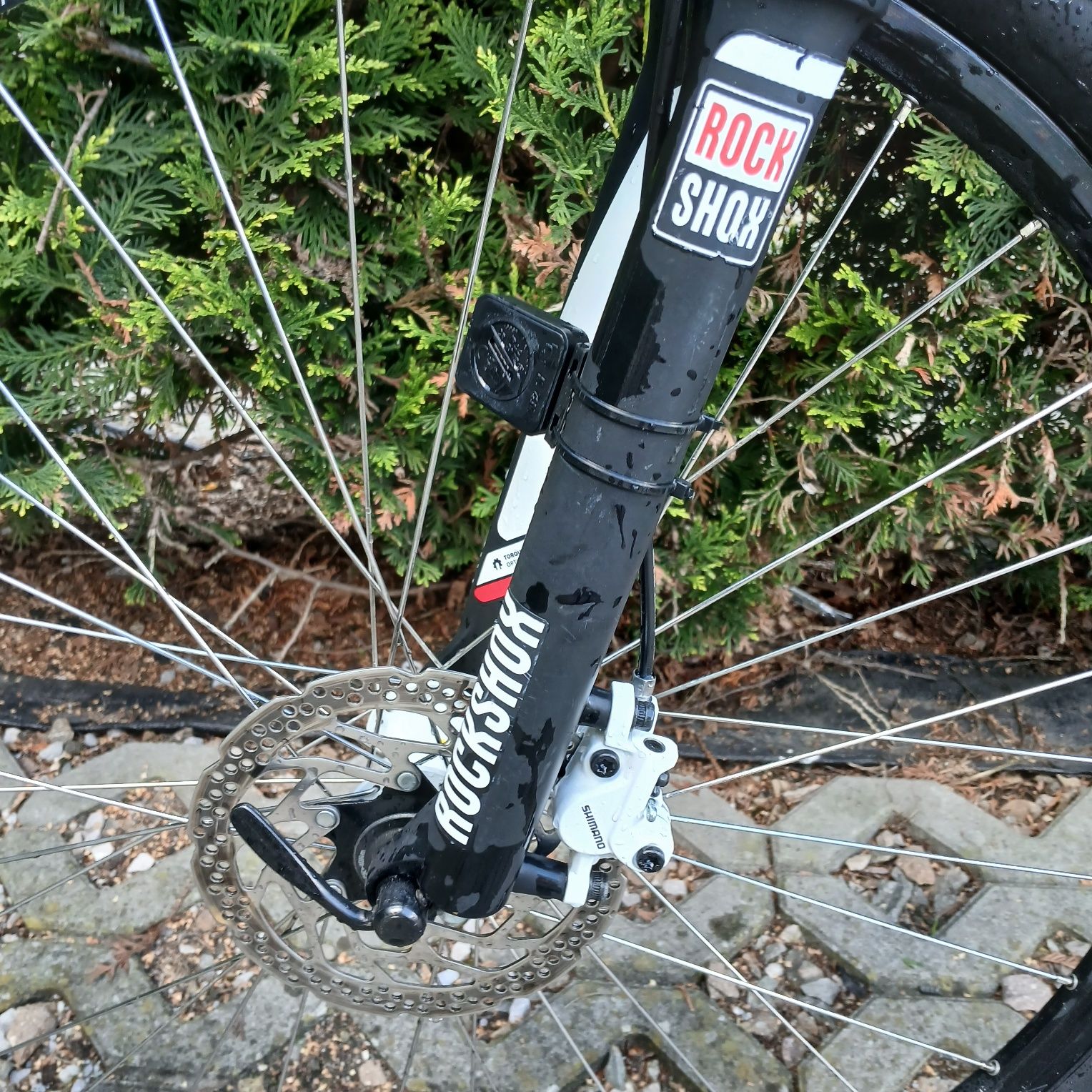Rower CUBE analog