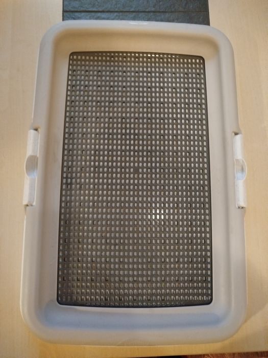 Туалет для собаки