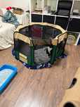 Tenda dobravel para animais