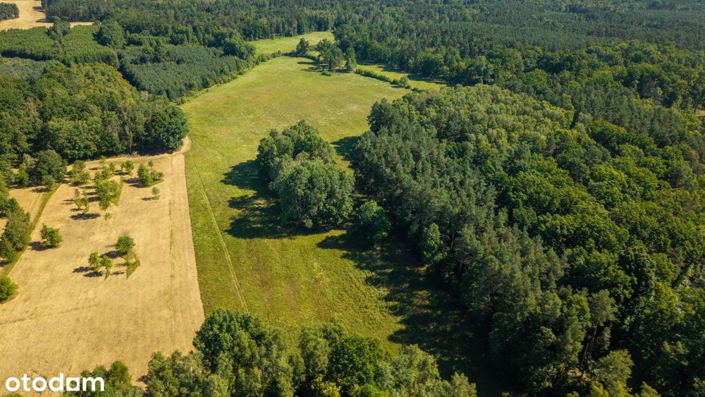 Malownicza Działka Rolna z Potencjałem – Dobrochów, 8.68 ha