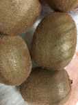 kiwi de polpa verde, muito saborosos