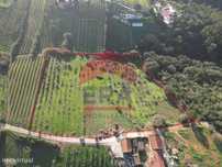 Terreno de 15 600m2 na Usseira, Óbidos