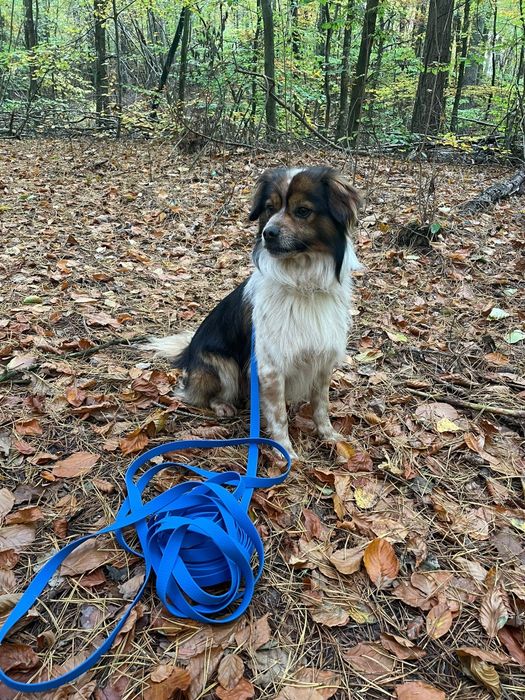 Linka treningowa Hexa 10m 20mm