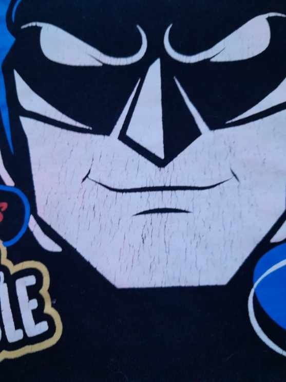 Koszulka t-shirt Batman