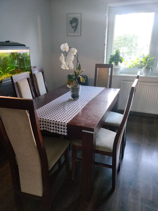 Krzesła do salonu jadalni 6 szt