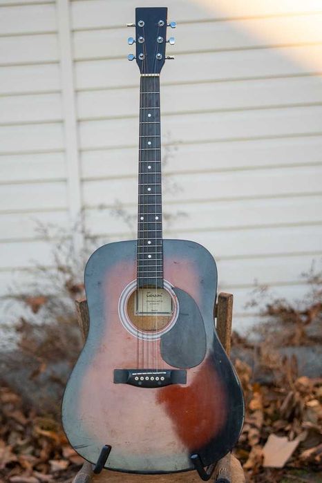 Tenson D1 Дренаут - акустична гітара