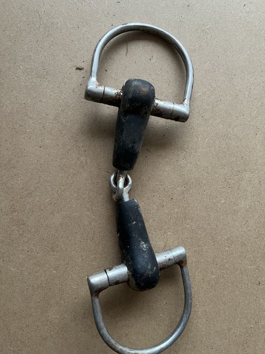 Bridão usado como novo