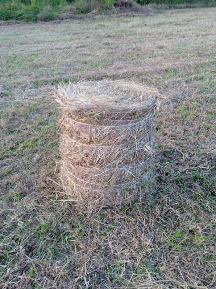 Продам сіно в тюках