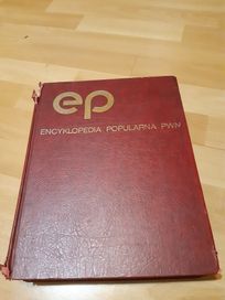 Encyklopedia PWN 1992
