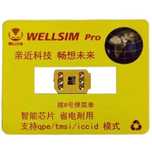 R-sim, rsim Wellsim