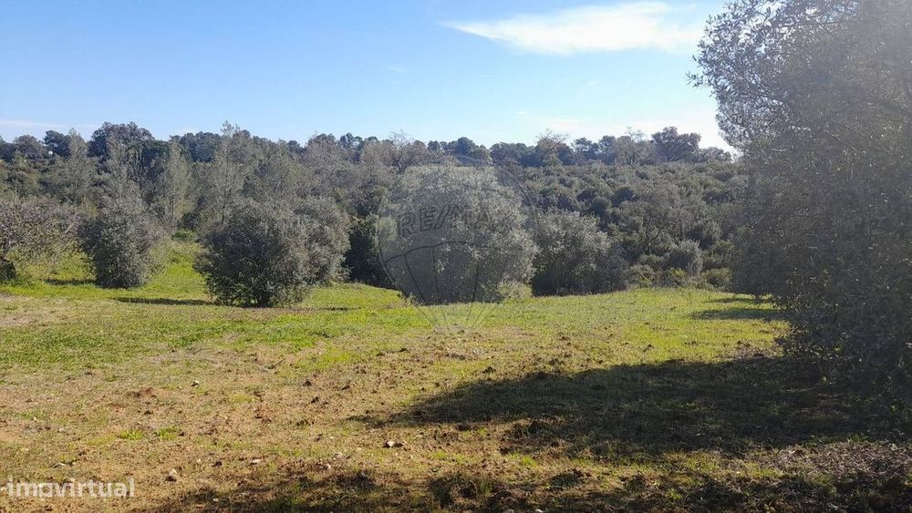 Terreno  para venda