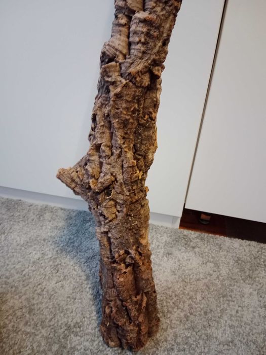 Tuba korkowa do terrarium 80x10 dąb korkowy