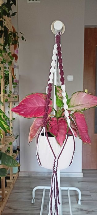 Makramowy kwietnik- rękodzieło, unikatowa dekoracja do domu.