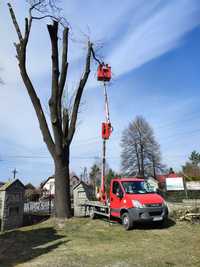 Wycinka drzew przycinanie usługi podnośnikiem zwyżka