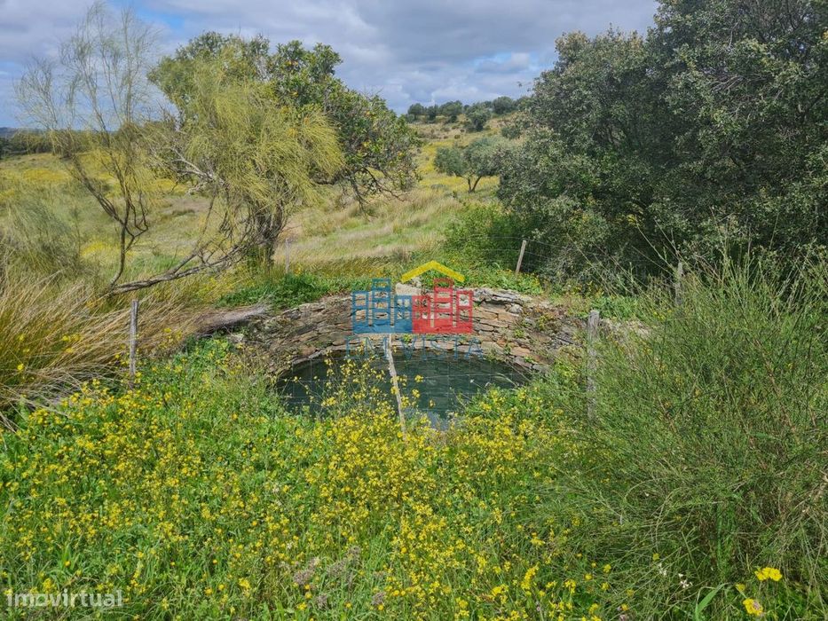 Herdade Agrícola em Castelo Branco