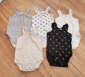 Body Carters 9 m