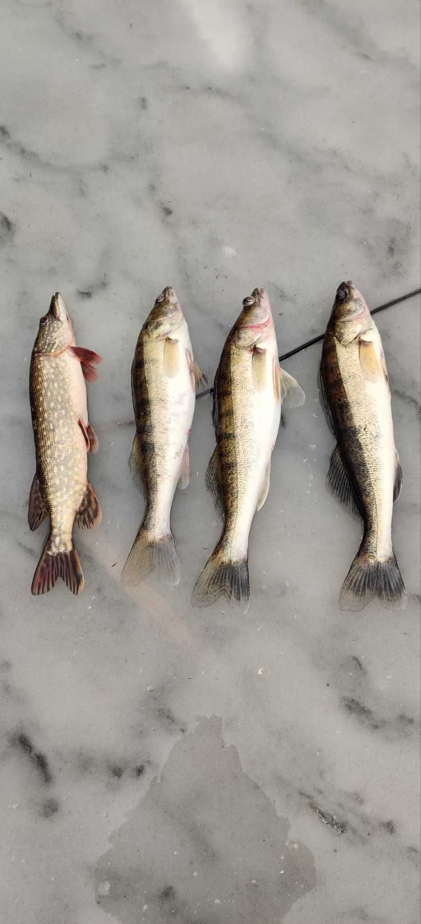 Приманка рыболовная, 80 мм, 17 г, vib, ратлин, воблер, зимняя рыбалка.