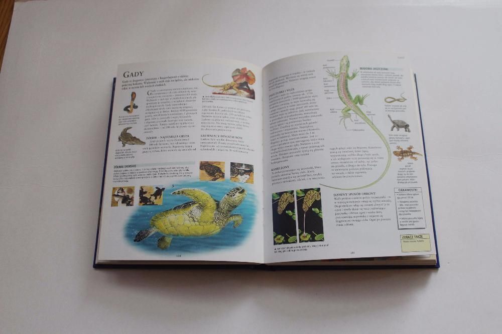 Podręczna encyklopedia ucznia