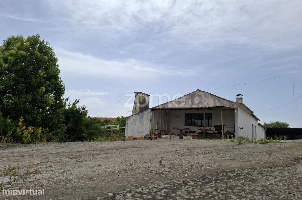 Quinta com Potencial em Santarém