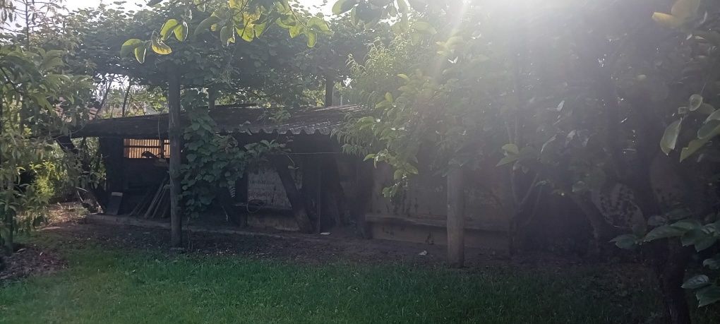 Alugo terreno, vedado ideal para criação ou treino de animais