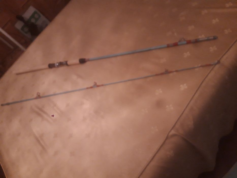Cana pesca sem carreto