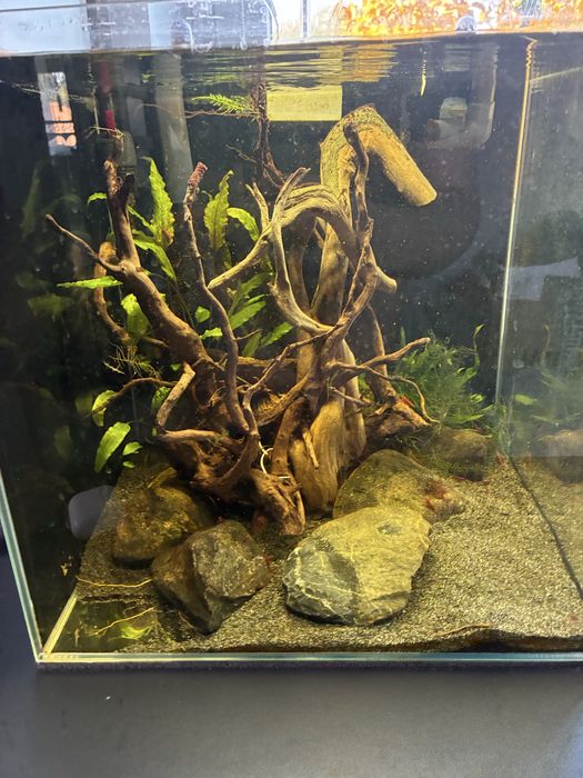 Sprzedam akwarium 35x35x35