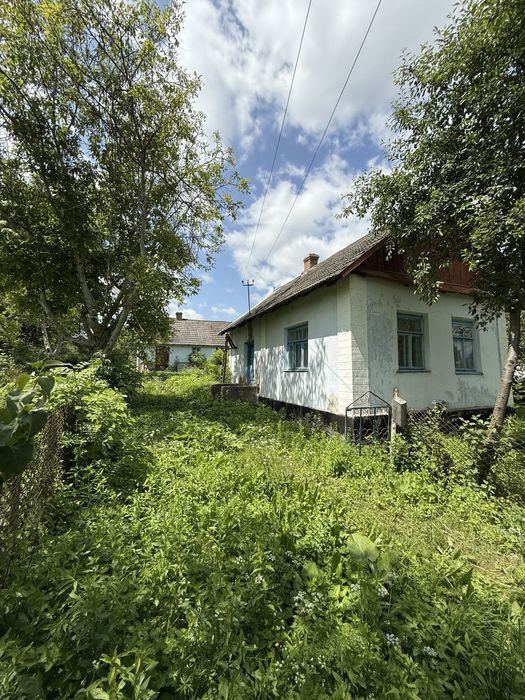Продаж будинку с. Липа