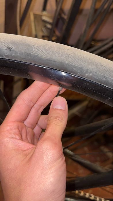 Mavic ellipse фікс віллсет фикс колеса