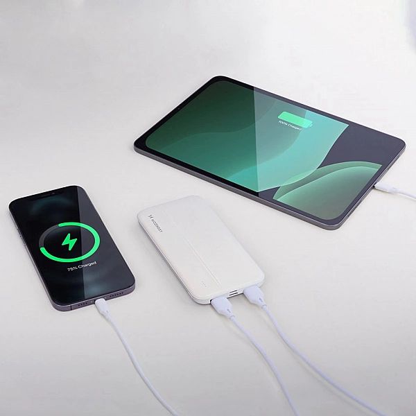 Wozinsky powerbank 10000mAh 2 x USB biały (WPBWE1)