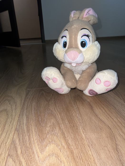 Tuptuś disneyland disney store