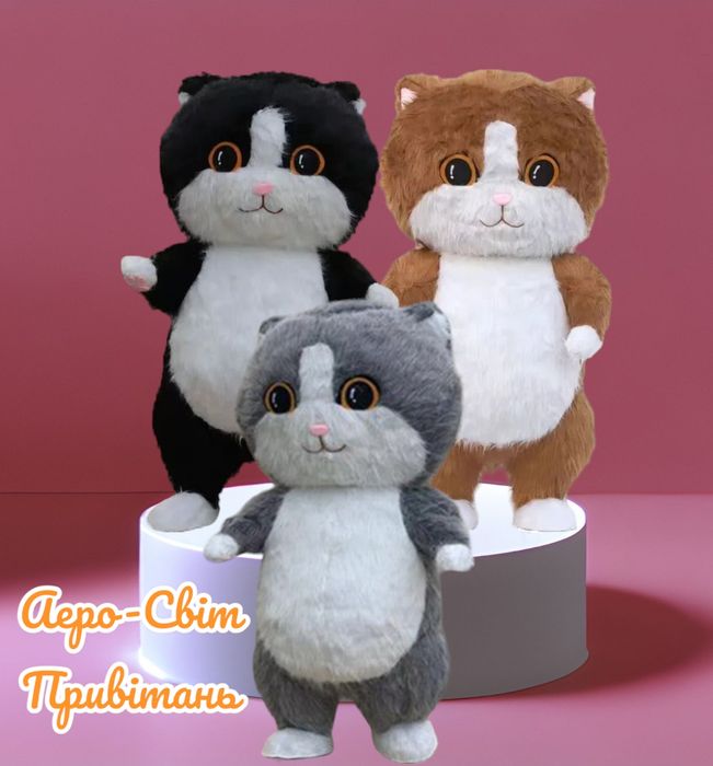 Привітання. Стебтиз. Аніматор. Замовити ведмедика.Поздравления. Заказа