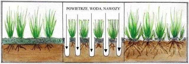 Wynajem Wertykulatora: Ożyw Swój Trawnik!