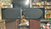 Par colunas BOSE 4.2 series II