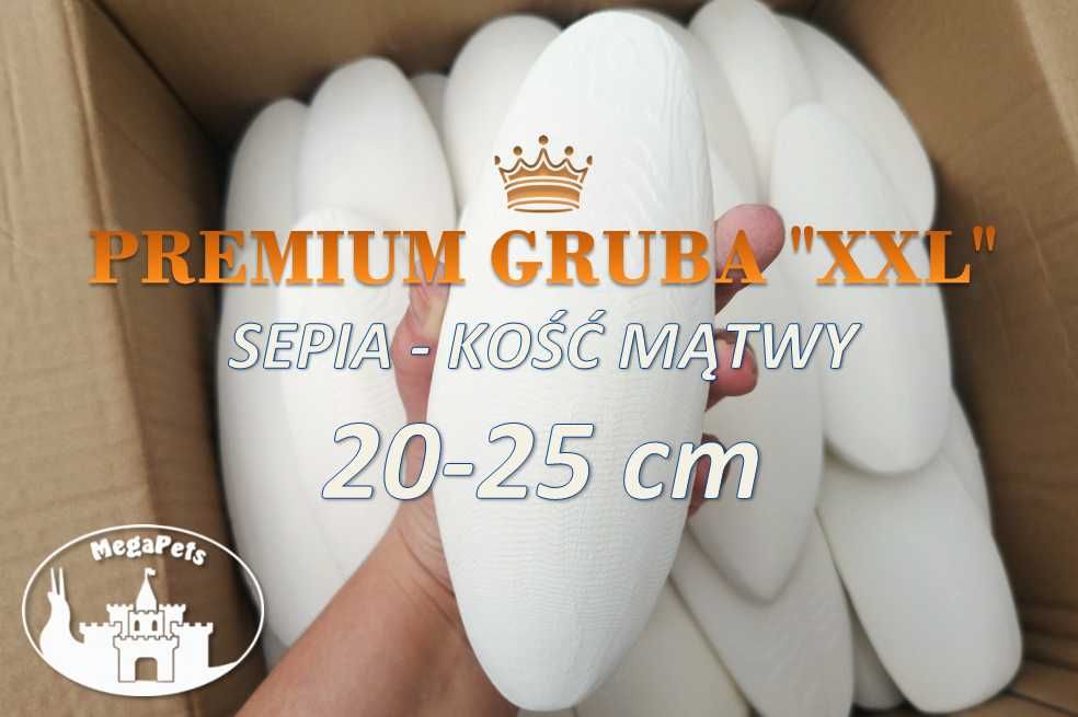 Sepia Kość mątwy PREMIUM XXL Lissachatina Papugi