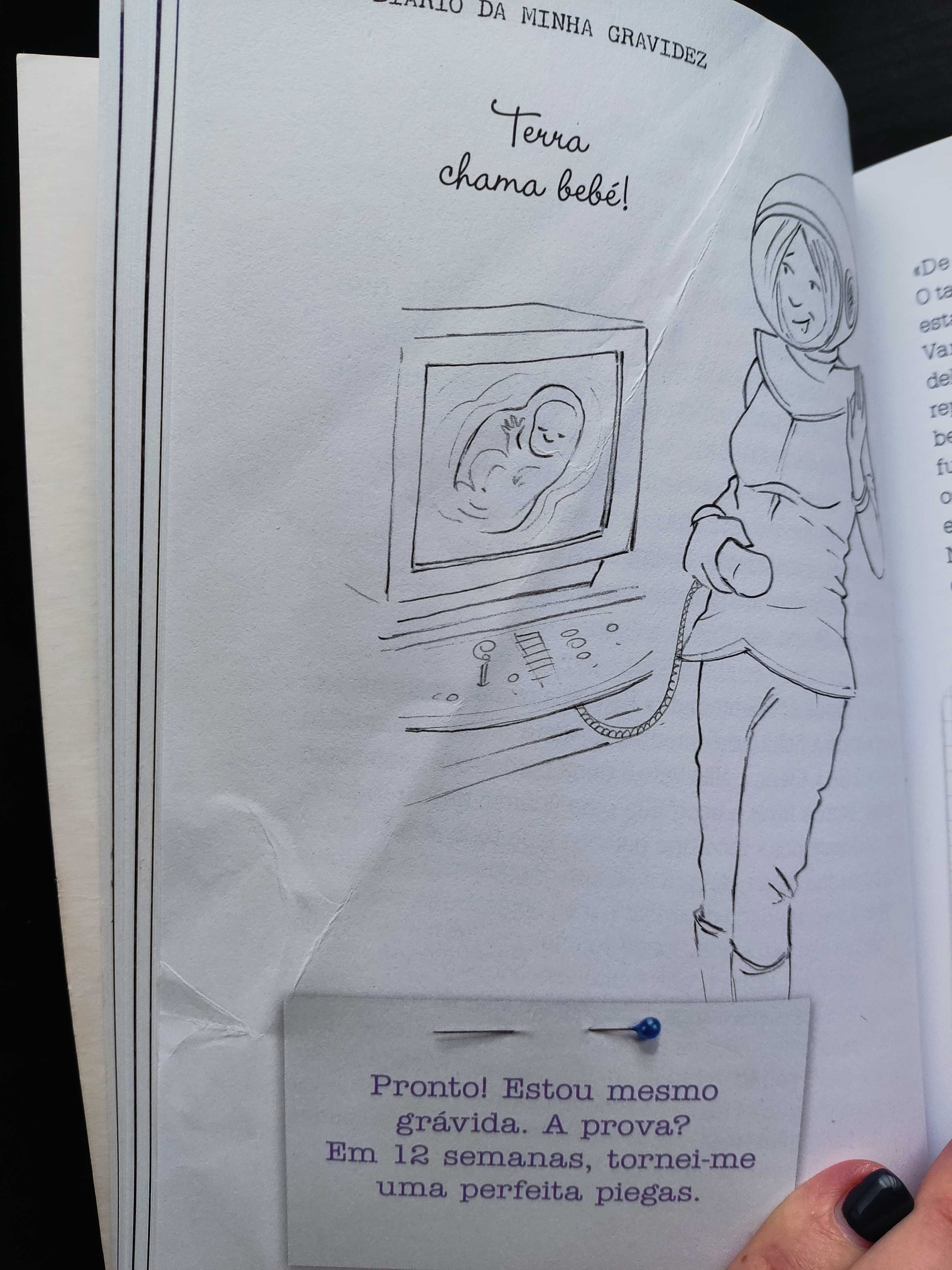Livro "O diário da minha gravidez"