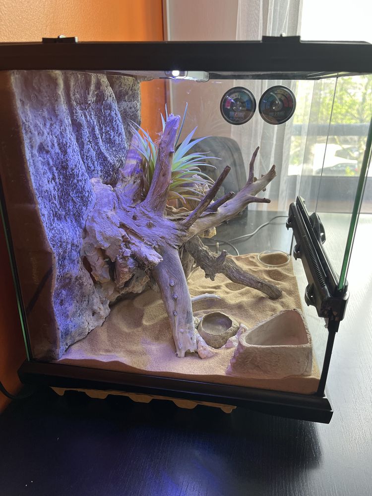 Terrário ExoTerra 30x30x30 – Totalmente Equipado