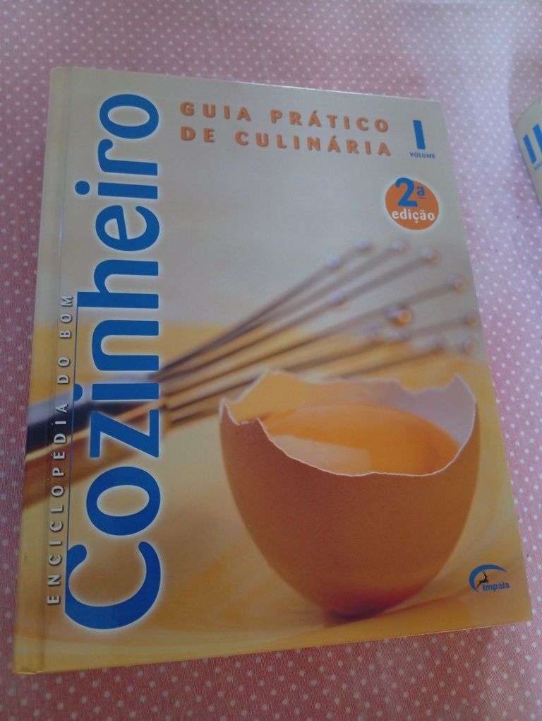 Enciclopédia do bom cozinheiro dois volumes novos