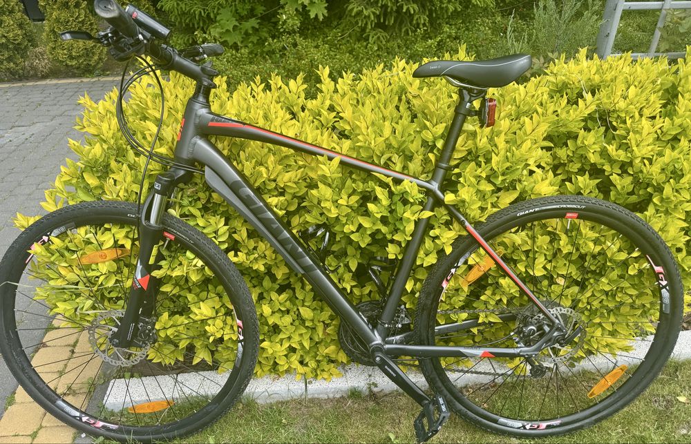 Rower Giant Roam 2 rozmiar L
