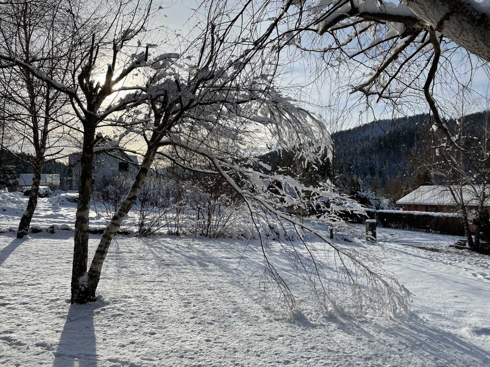 Domek POD WILKIEM, 10 osobowy dom na wynajem