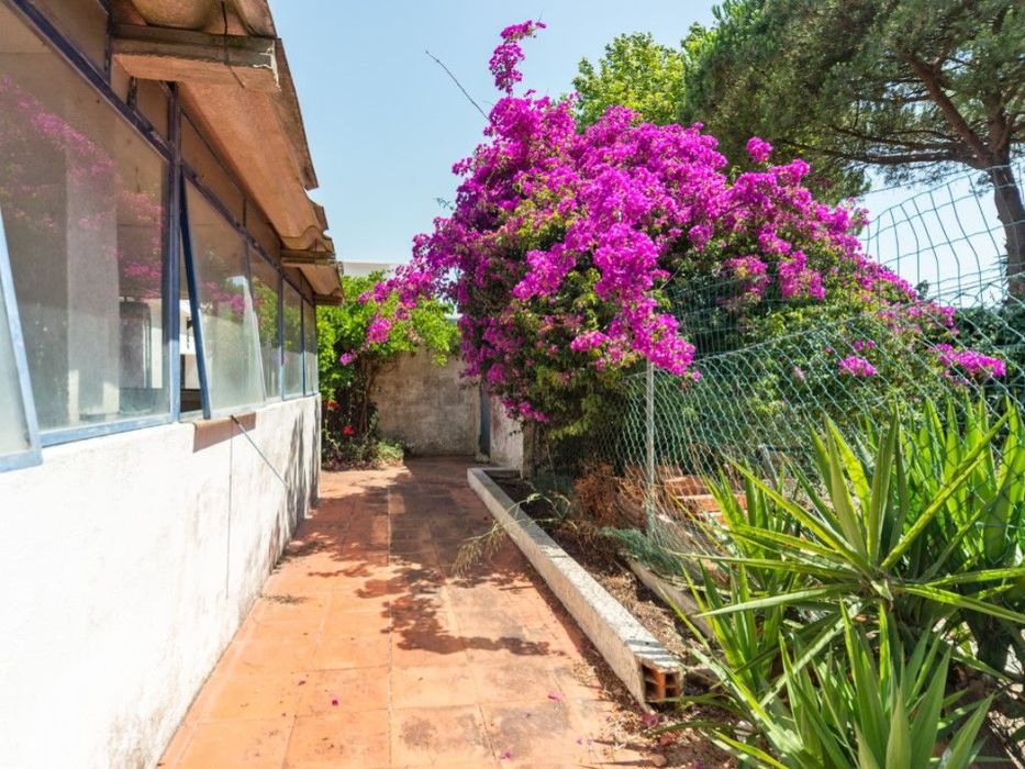Terreno Urbano na Falésia da Caparica
