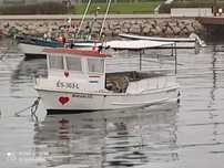 Barco de pesca profissional tipo Obe 6.40