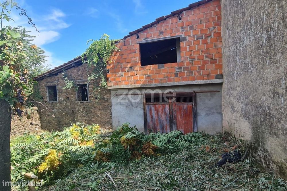 Conjunto de 4 artigos em Olmos - Macedo de Cavaleiros