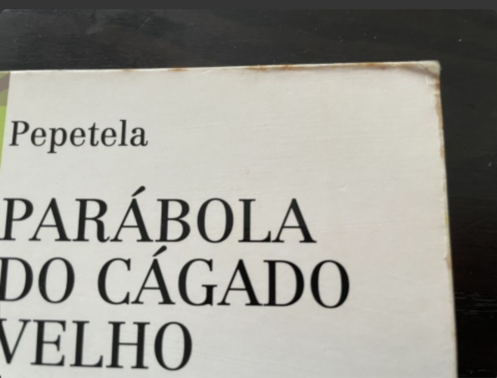 Livro “Parábola do cágado velho”, de Pepetela