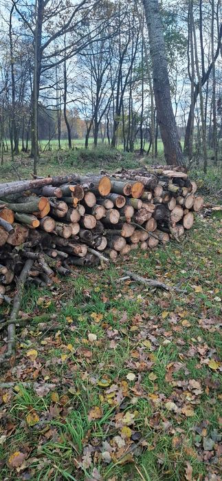 Drewno opałowe olszyna