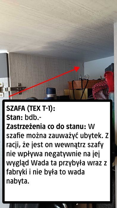 Szafa na ubrania (TEX T-1) [Agata Meble]