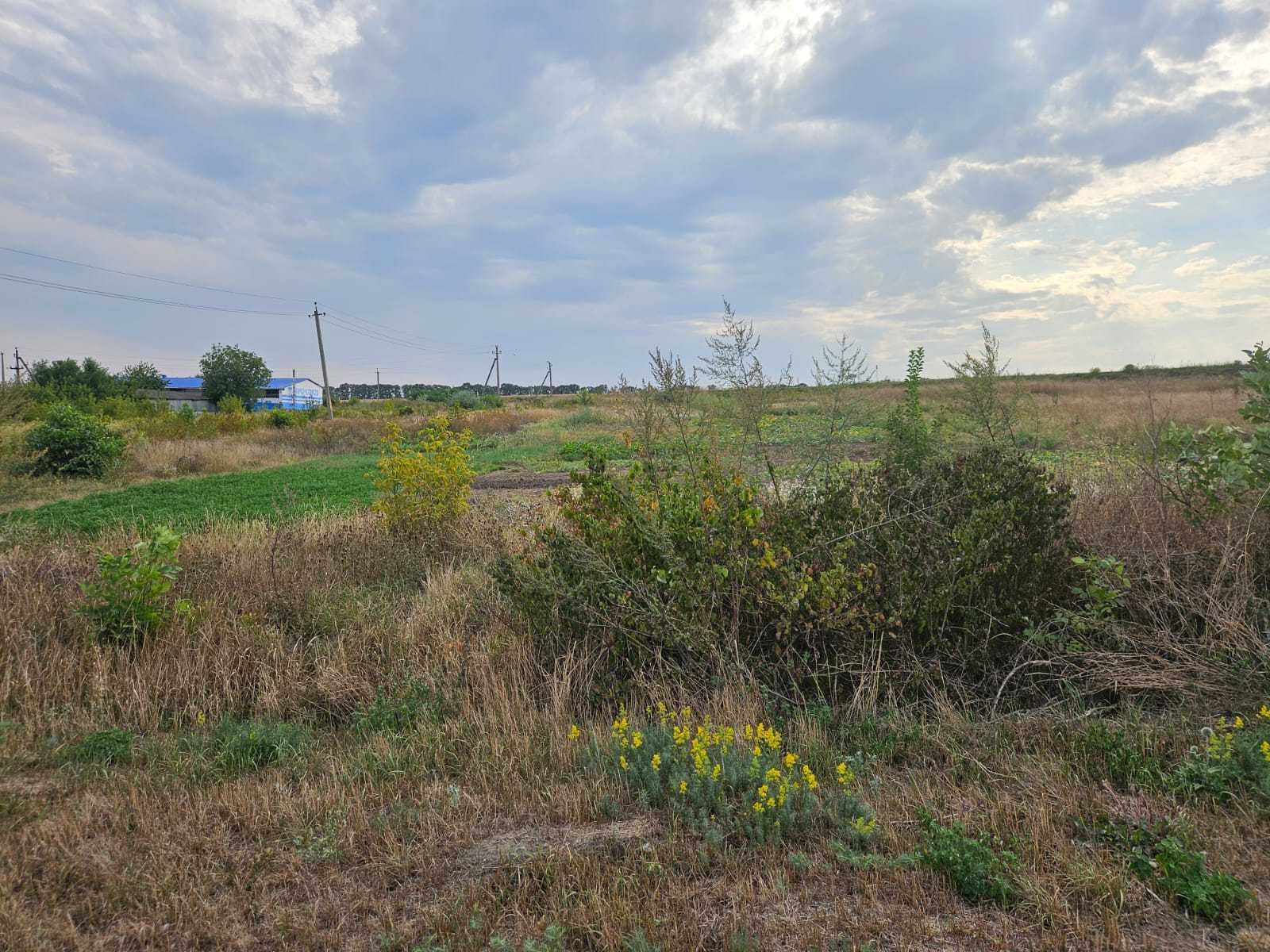 Земельна ділянка для будівництва та обслуговування будівель торгівлі